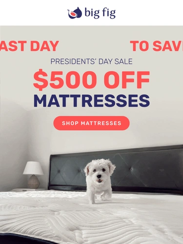 Big Fig Mattress Sale Announcement