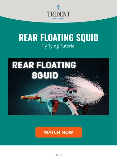 Trident Fly Fishing Newsletter