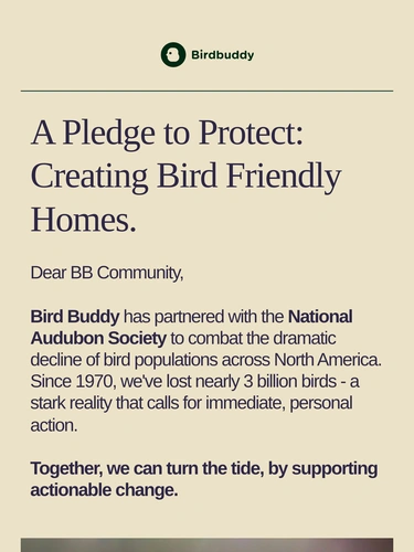 My Bird Buddy Newsletter