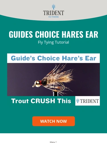 Trident Fly Fishing Newsletter