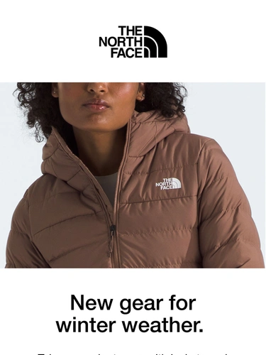 The North Face Newsletter