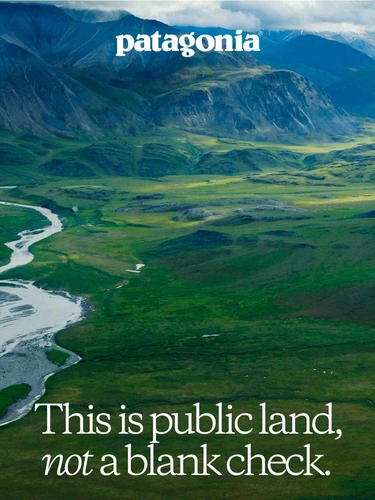 Patagonia Newsletter
