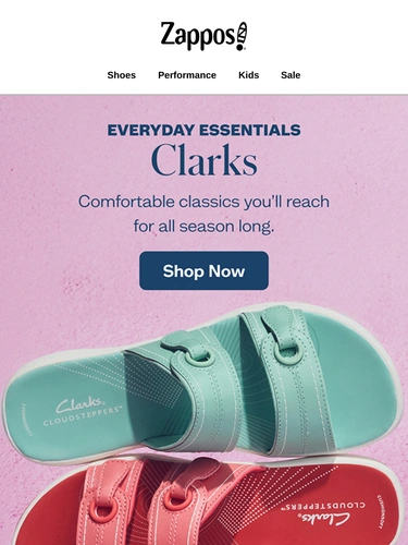 Zappos Newsletter