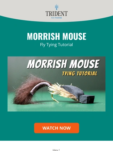 Trident Fly Fishing Product Launch