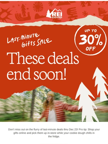 REI Sale Announcement