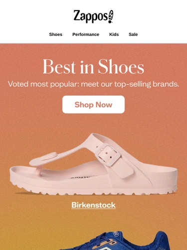 Zappos Sale Announcement