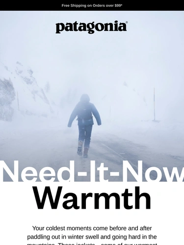Patagonia Newsletter