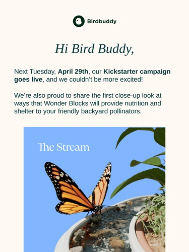 My Bird Buddy Product Launch