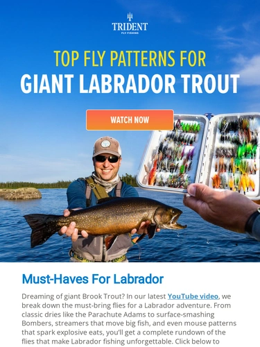 Trident Fly Fishing Newsletter