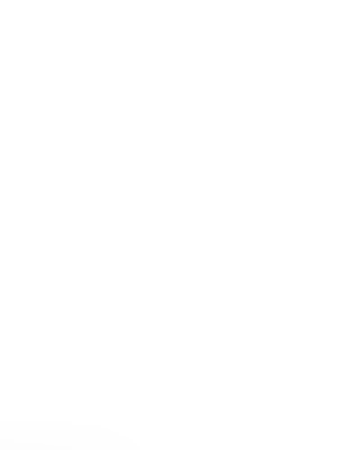 Belk Sale Announcement