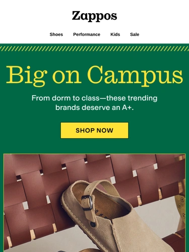 Zappos Newsletter