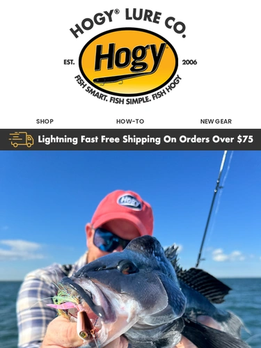 Hogylures Sale Announcement