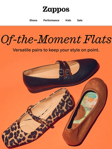 Zappos Newsletter