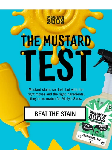 Molly's Suds Newsletter