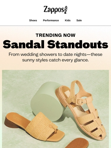 Zappos Newsletter