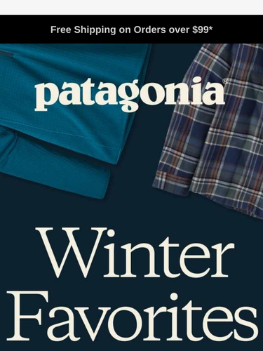 Patagonia Newsletter