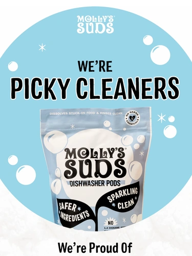 Molly's Suds Newsletter