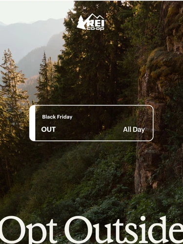 REI Holiday Campaign