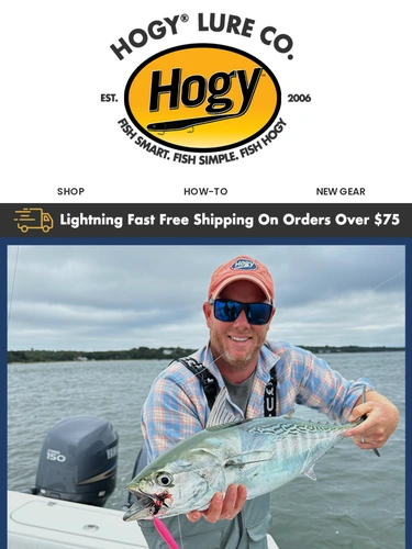 Hogylures Sale Announcement