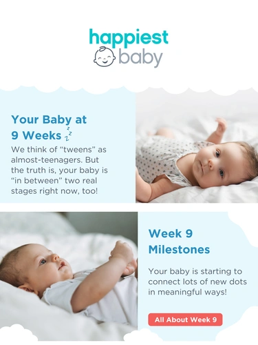 Happiest Baby Welcome Series