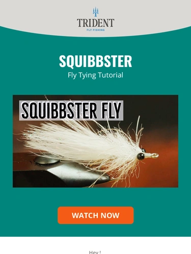Trident Fly Fishing Newsletter