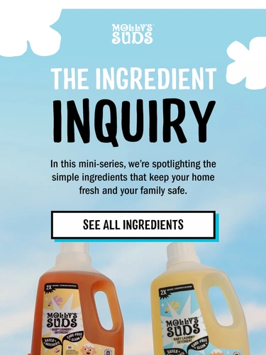 Molly's Suds Newsletter