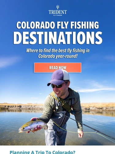 Trident Fly Fishing Newsletter