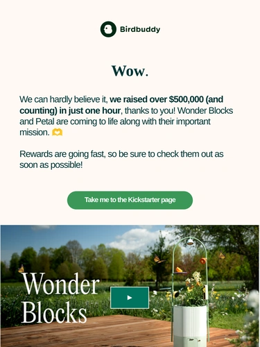 My Bird Buddy Newsletter