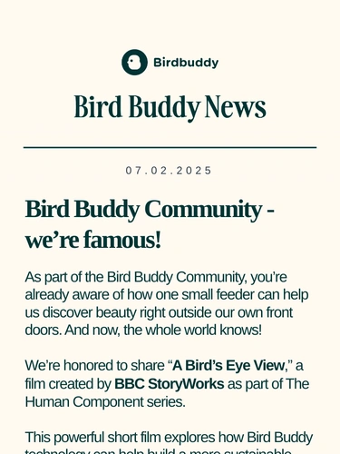My Bird Buddy Newsletter
