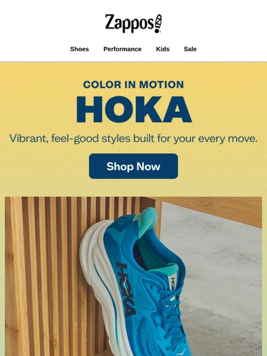 Zappos Newsletter