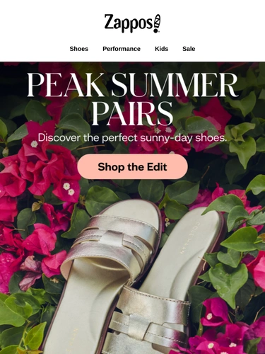 Zappos Newsletter