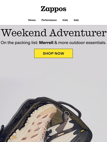 Zappos Newsletter