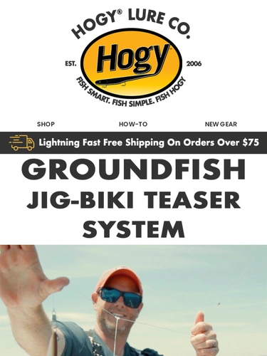 Hogylures Newsletter