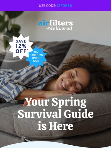 Air Filters Delivered Sale Announcement