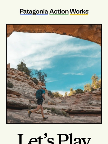 Patagonia Newsletter