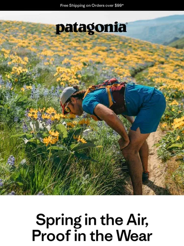 Patagonia Newsletter