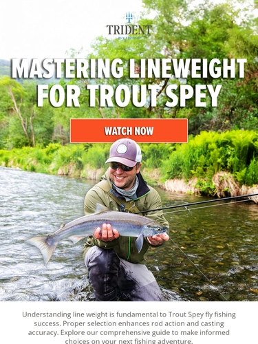 Trident Fly Fishing Sale Announcement