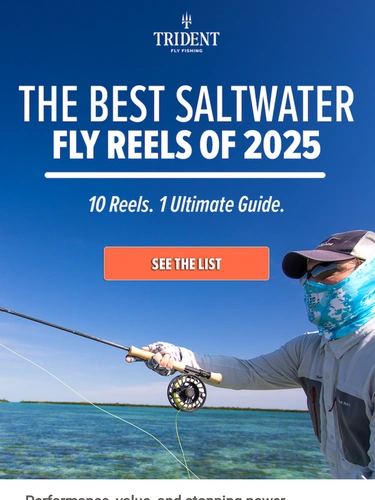 Trident Fly Fishing Newsletter