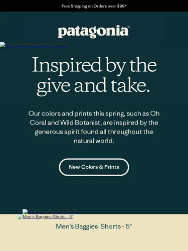 Patagonia Newsletter