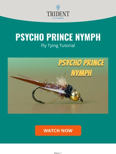 Trident Fly Fishing Newsletter