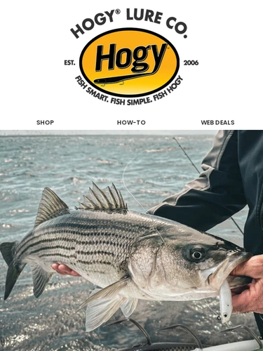 Hogylures Sale Announcement