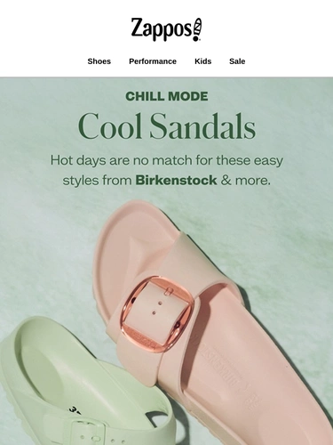 Zappos Sale Announcement