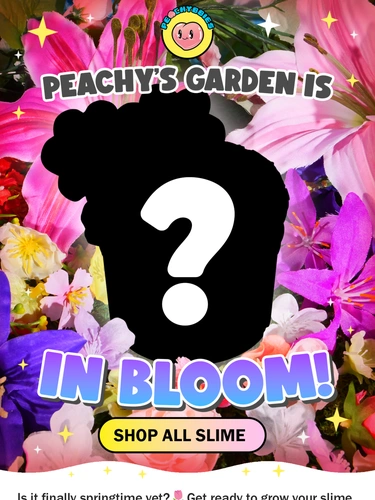 PeachyBbies Customer Feedback