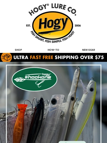 Hogylures Newsletter