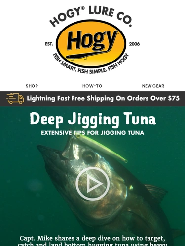 Hogylures Sale Announcement