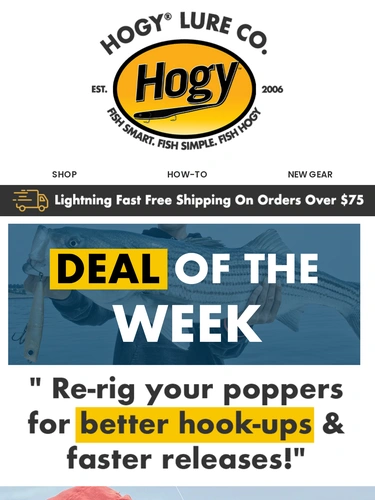 Hogylures Sale Announcement