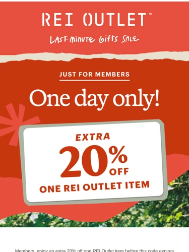 REI Sale Announcement