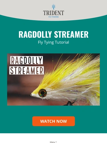 Trident Fly Fishing Newsletter