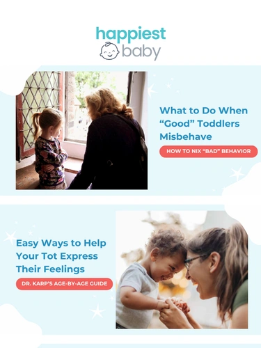 Happiest Baby Email