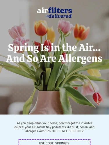 Air Filters Delivered Sale Announcement